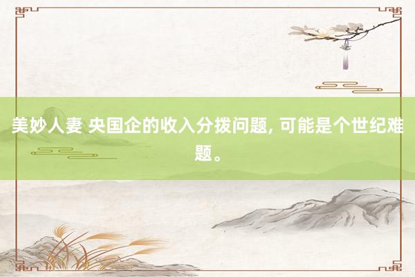 美妙人妻 央国企的收入分拨问题， 可能是个世纪难题。